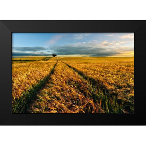 Countryside Black Modern Wood Framed Art Print by Krol (Bax), Piotr