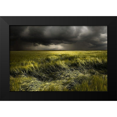 summer Weather Black Modern Wood Framed Art Print by Schumacher, Nicolas