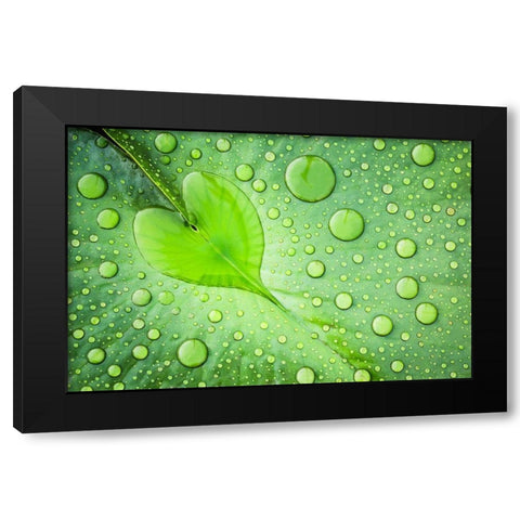 Heart Black Modern Wood Framed Art Print with Double Matting by Foto, Patrick