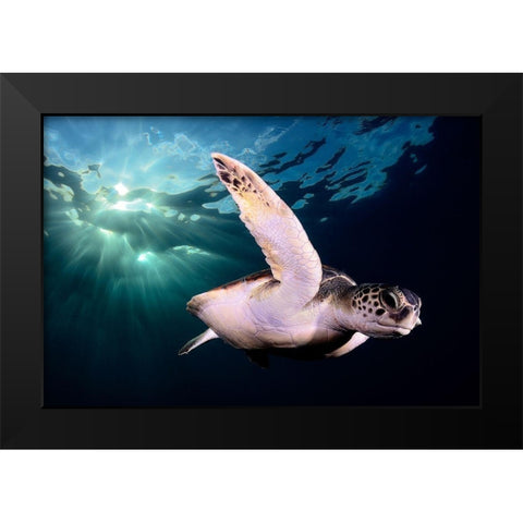 Afternoon Black Modern Wood Framed Art Print by Garcia, Sergi