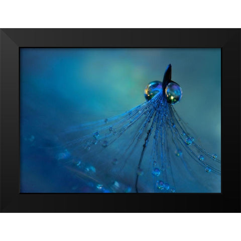 Dancing into the blue night Black Modern Wood Framed Art Print by Westum, Heidi