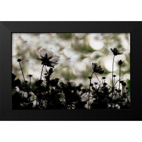 Autumn chorus Black Modern Wood Framed Art Print by Ikeda, Keisuke