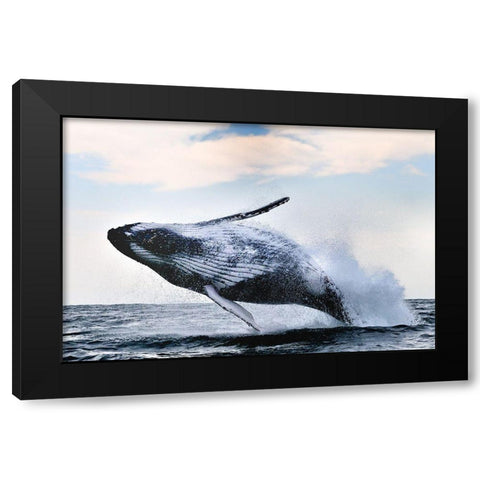 breach Black Modern Wood Framed Art Print with Double Matting by Safonov, Alexander