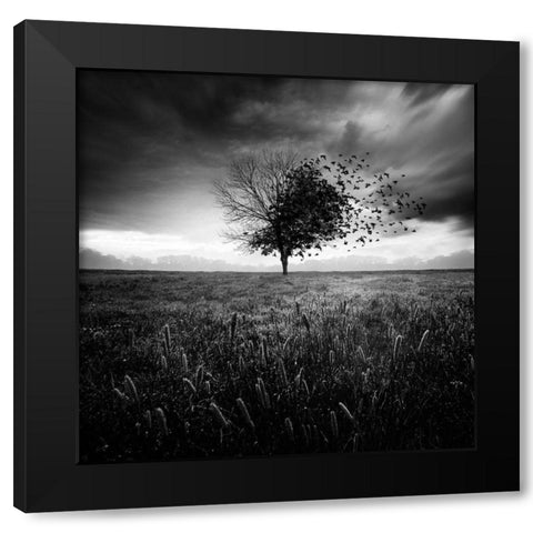 Illusion dun printemps perdu Black Modern Wood Framed Art Print with Double Matting by Del Grosso, Sebastien