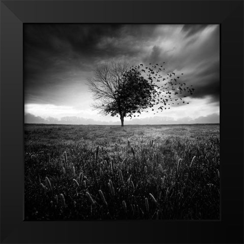 Illusion dun printemps perdu Black Modern Wood Framed Art Print by Del Grosso, Sebastien