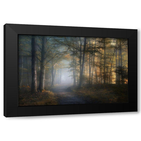 autumn symphony Black Modern Wood Framed Art Print with Double Matting by Maier, Norbert