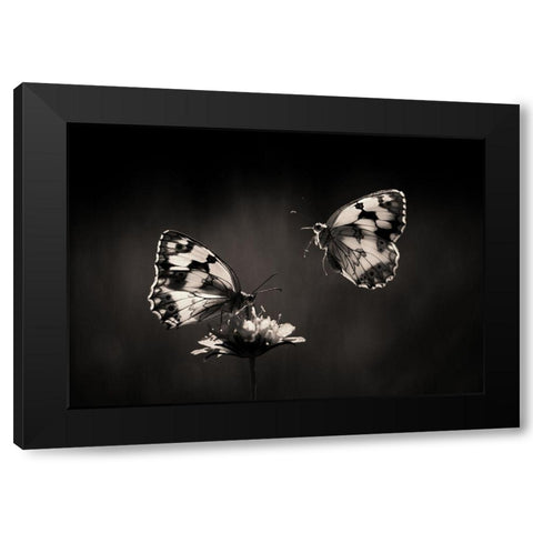 Medioluto norteAÂ±a Black Modern Wood Framed Art Print by Hoffman, Jimmy