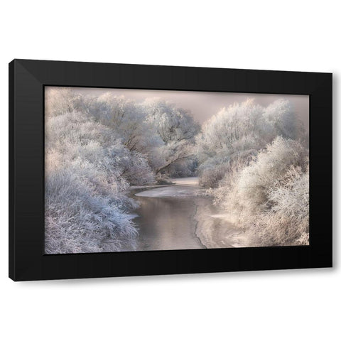 Winter Song Black Modern Wood Framed Art Print by Bela, Sebestyen