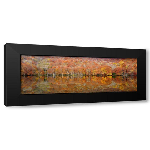 glowing autumn Black Modern Wood Framed Art Print by Shibata, Sho
