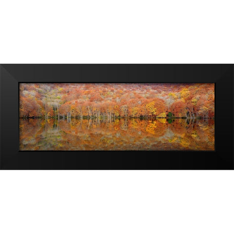 glowing autumn Black Modern Wood Framed Art Print by Shibata, Sho