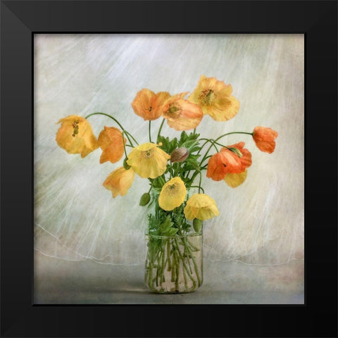 In the window Black Modern Wood Framed Art Print by Disher, Mandy