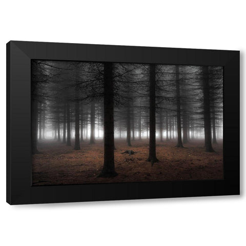 Silence Black Modern Wood Framed Art Print with Double Matting by Petrovic, Dragisa