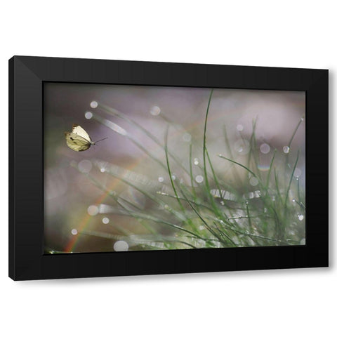 Imminent Landing Black Modern Wood Framed Art Print with Double Matting by Cseresnjes, Anna