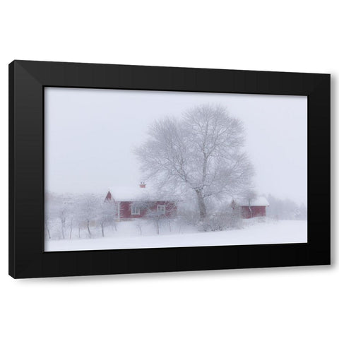 Winter idyll Black Modern Wood Framed Art Print with Double Matting by Wallberg, Allan