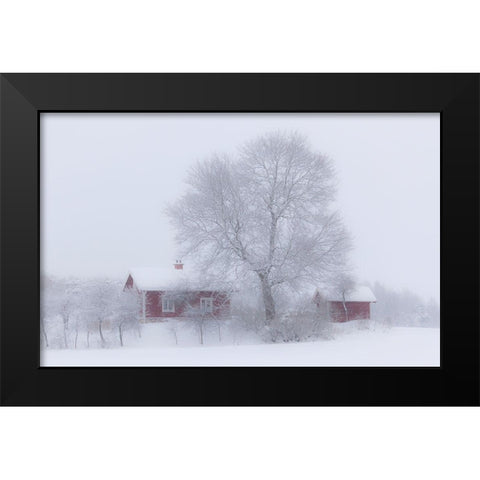 Winter idyll Black Modern Wood Framed Art Print by Wallberg, Allan
