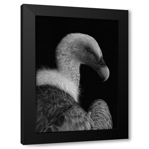 Majestic Black Modern Wood Framed Art Print with Double Matting by Hoffman, Jimmy