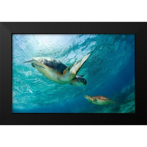 Contact Black Modern Wood Framed Art Print by Narchuk, Andrey