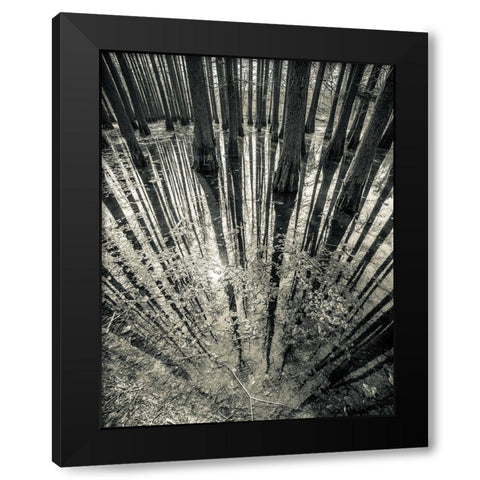 Synchronicity Black Modern Wood Framed Art Print with Double Matting by Manea, Aurel