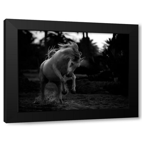 Boast Black Modern Wood Framed Art Print by Al-Saeed, Abdullah