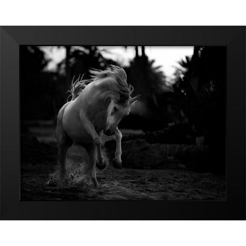 Boast Black Modern Wood Framed Art Print by Al-Saeed, Abdullah