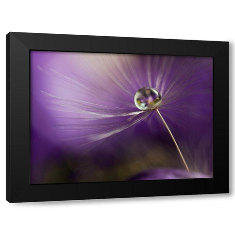 In shades of purple Black Modern Wood Framed Art Print with Double Matting by Westum, Heidi