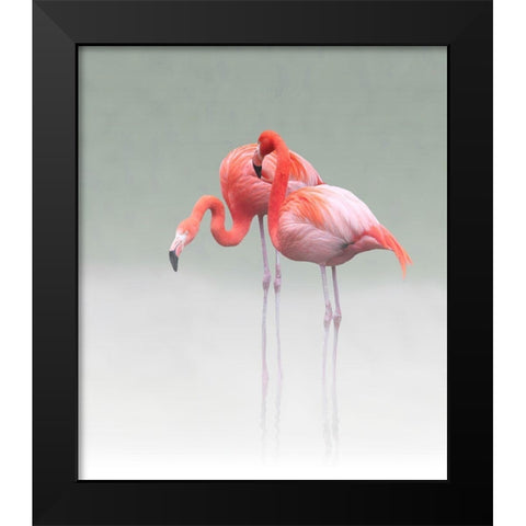 just we two Black Modern Wood Framed Art Print by Cseresnjes, Anna