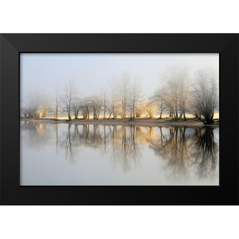 january morning Black Modern Wood Framed Art Print by Bor