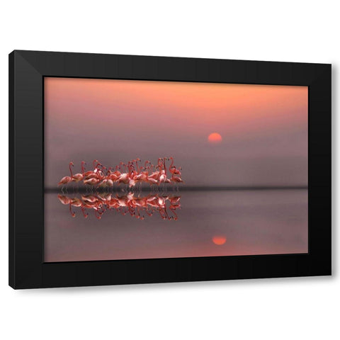 purple sunset Black Modern Wood Framed Art Print with Double Matting by Cseresnjes, Anna