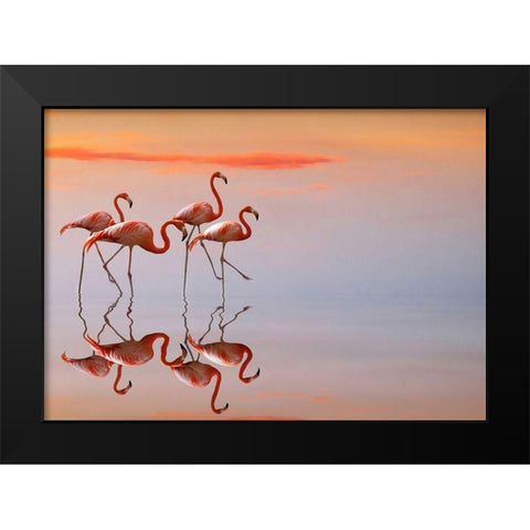 flamingos family Black Modern Wood Framed Art Print by Cseresnjes, Anna