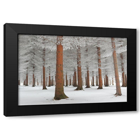 In White Black Modern Wood Framed Art Print with Double Matting by Petrovic, Dragisa