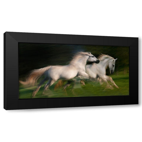 gallop for two Black Modern Wood Framed Art Print by Malovrh, Milan