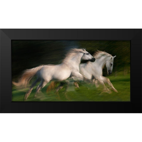 gallop for two Black Modern Wood Framed Art Print by Malovrh, Milan