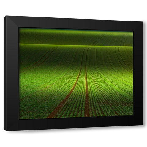 November Green Black Modern Wood Framed Art Print by Schumacher, Nicolas