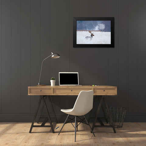 Fallow deer in the frozen winter landscape Black Modern Wood Framed Art Print by Wallberg, Allan