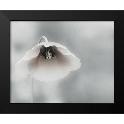 Ephemeral Beauty Black Modern Wood Framed Art Print by Flour, Piet