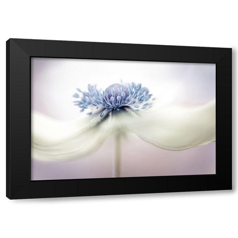 a n e m o n e Black Modern Wood Framed Art Print with Double Matting by Disher, Mandy