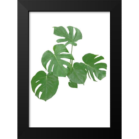 Monstera Green 04 Black Modern Wood Framed Art Print by Artographie Studio