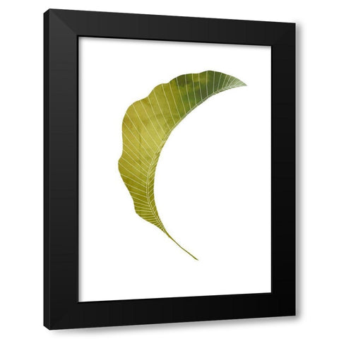 Banana Leaf Black Modern Wood Framed Art Print by Artographie Studio