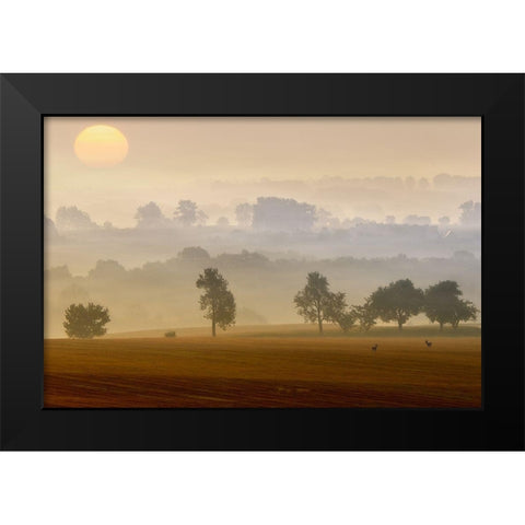 Morning View Black Modern Wood Framed Art Print by Krol (Bax), Piotr