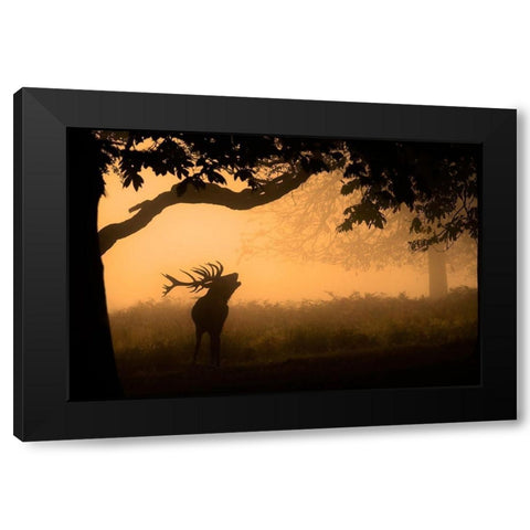 The Love Call Black Modern Wood Framed Art Print by Jevric fotorax, Radojica