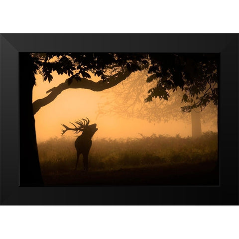 The Love Call Black Modern Wood Framed Art Print by Jevric fotorax, Radojica