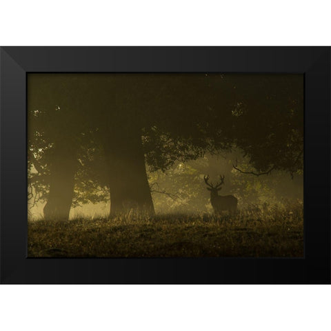 Magical sunrise Black Modern Wood Framed Art Print by Cia, Inigo