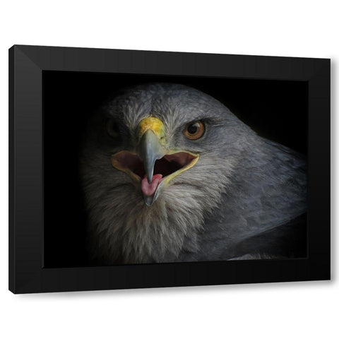 War Cry Black Modern Wood Framed Art Print by valverde, Ferdinando