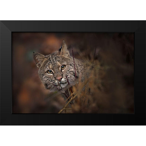 These Eyes Black Modern Wood Framed Art Print by Kalathas, Nick