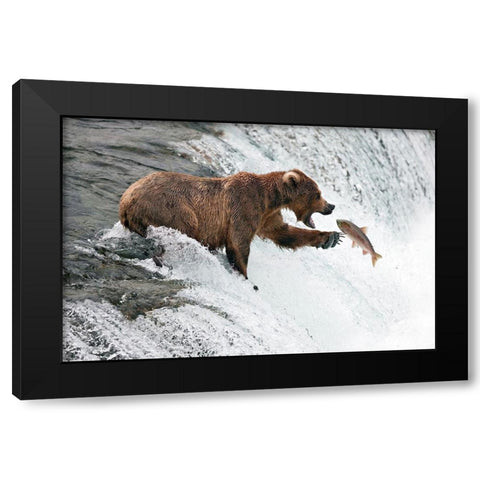 Unlucky  Jump Black Modern Wood Framed Art Print with Double Matting by Stahl, Peter