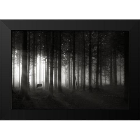 Deer`s Morning Black Modern Wood Framed Art Print by Hessel, Christoph