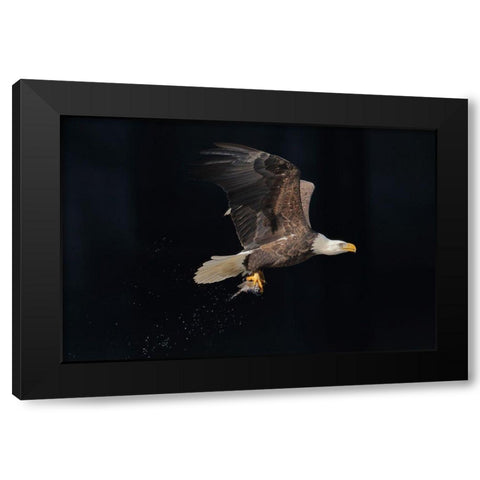 Go Home Black Modern Wood Framed Art Print with Double Matting by Liu, Anping