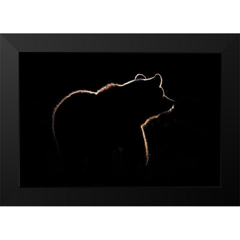 Highlight Black Modern Wood Framed Art Print by Golob, Gorazd