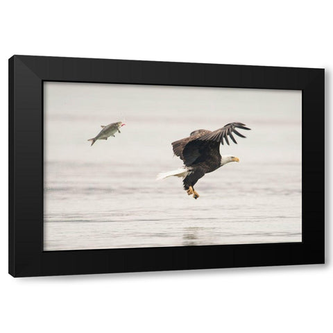 Flying Together Black Modern Wood Framed Art Print with Double Matting by Tang, Wei