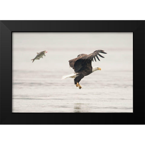 Flying Together Black Modern Wood Framed Art Print by Tang, Wei